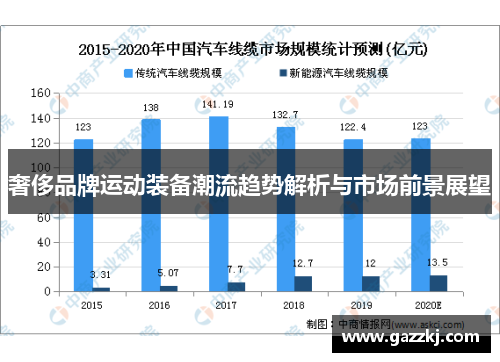 奢侈品牌运动装备潮流趋势解析与市场前景展望